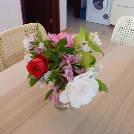 Tourist Complex Rose Village 3*