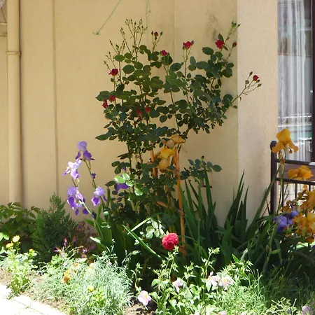 Tourist Complex Rose Village 2* Солнечный берег
