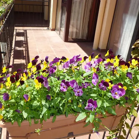 Апарт-отель Tourist Complex Rose Village