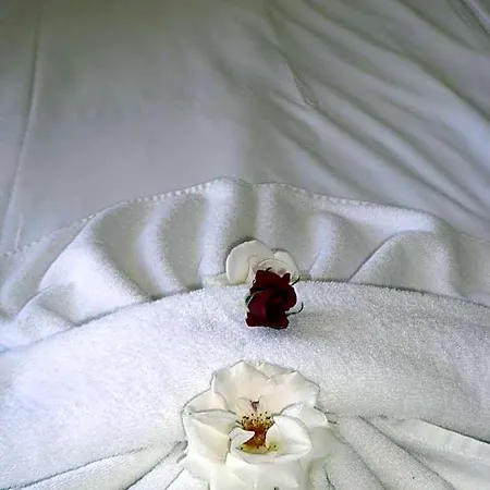 Tourist Complex Rose Village 3* Слънчев бряг