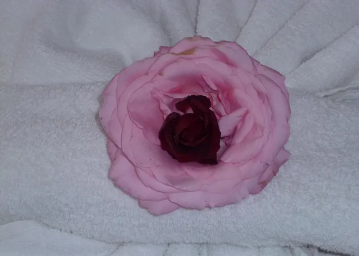 Tourist Complex Rose Village 2* Slăntjev Brjag