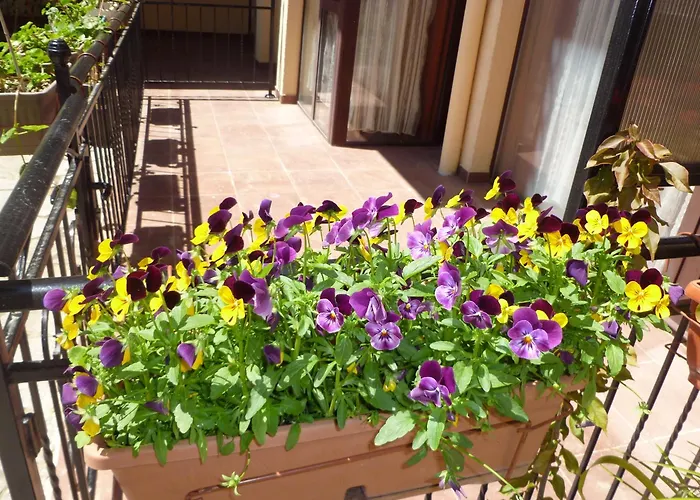 Lägenhetshotell Tourist Complex Rose Village