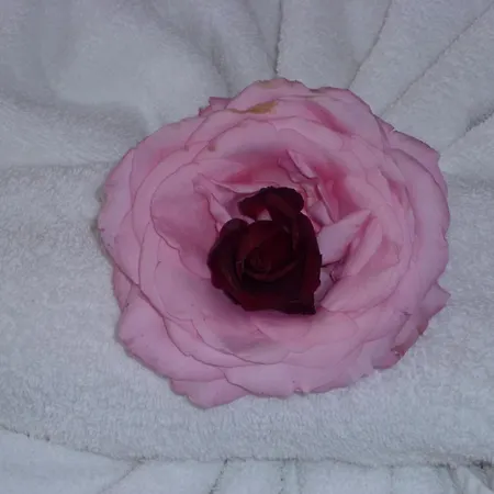 Tourist Complex Rose Village 2* ساني بيتش