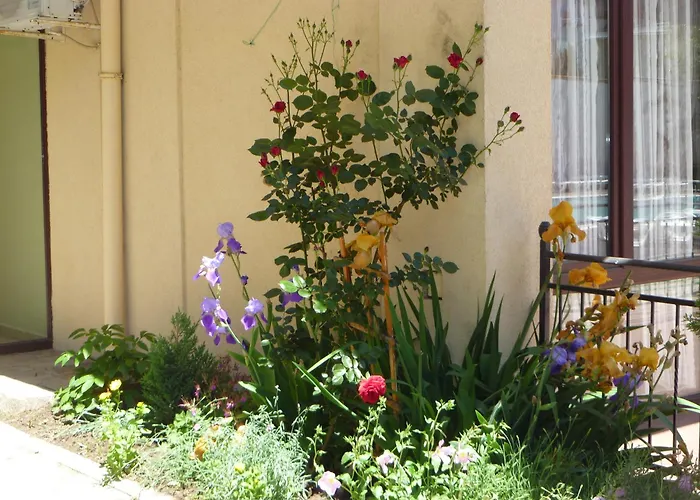 Tourist Complex Rose Village 2* Sluneční pobřeží